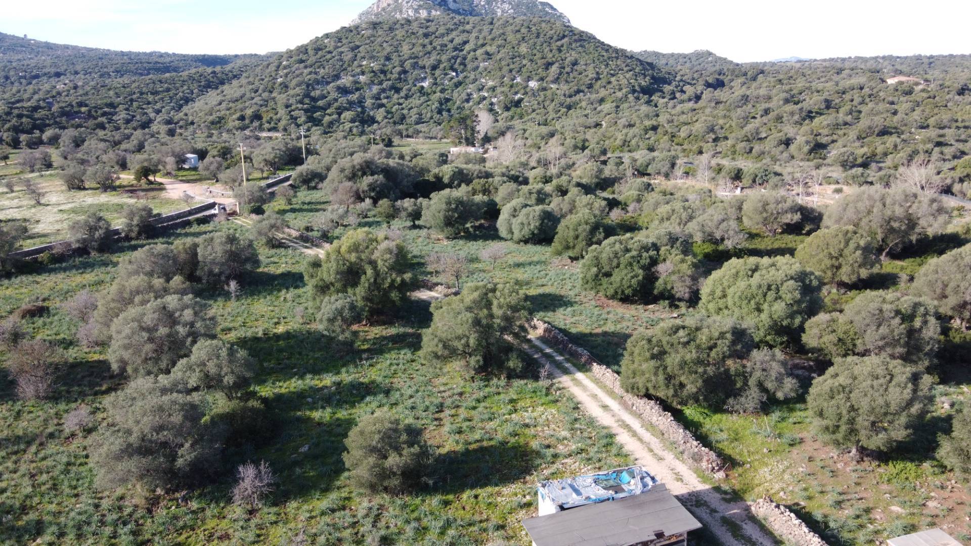 Terreno Agricolo in vendita a Dorgali