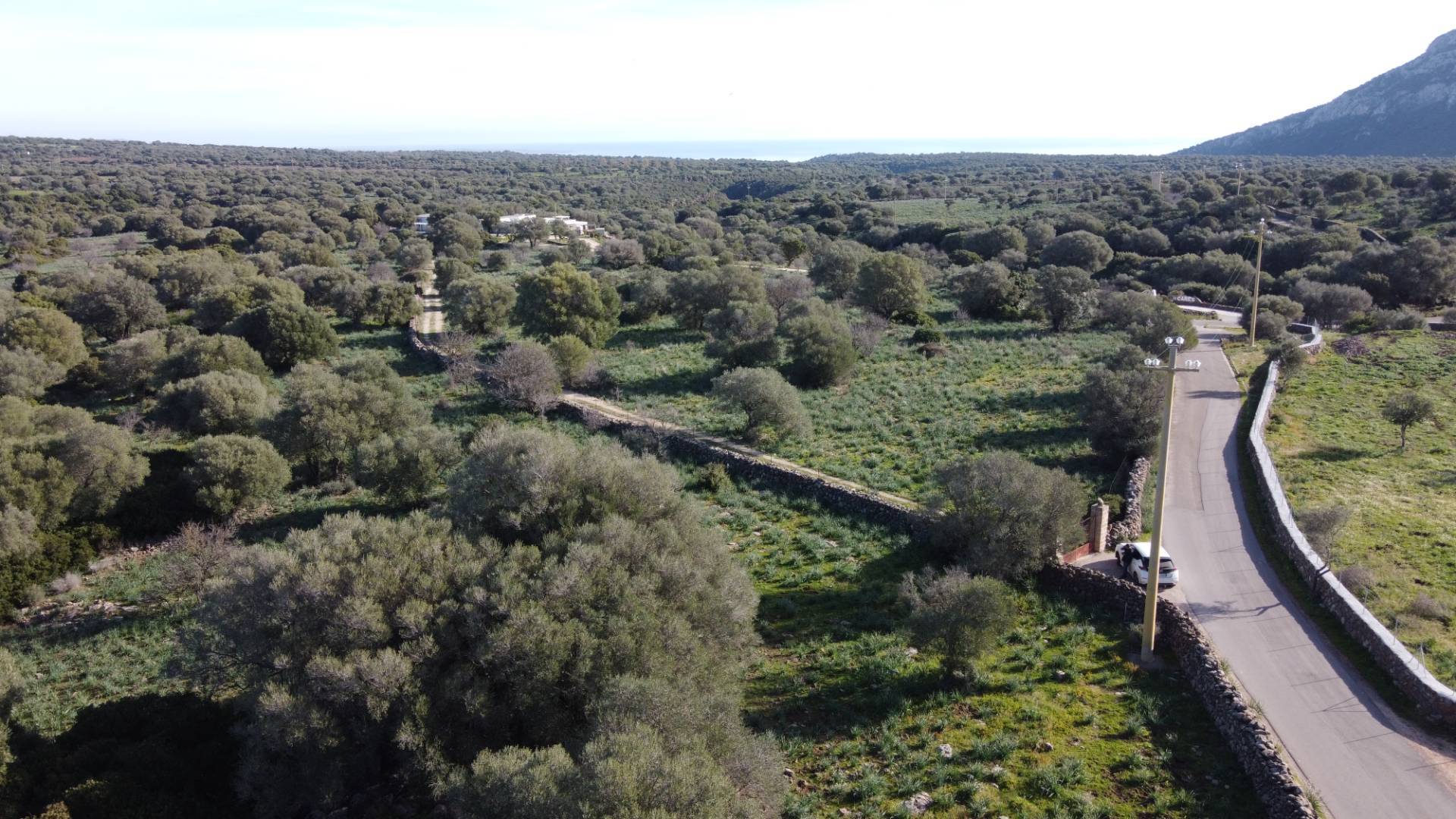 Terreno Agricolo in vendita a Dorgali