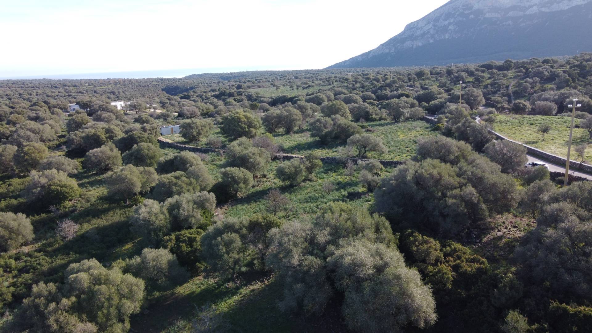 Terreno Agricolo in vendita a Dorgali