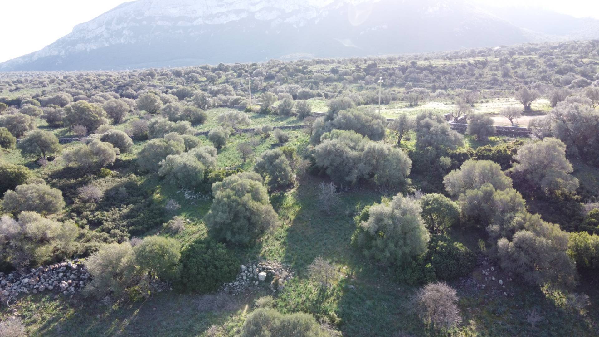 Terreno Agricolo in vendita a Dorgali