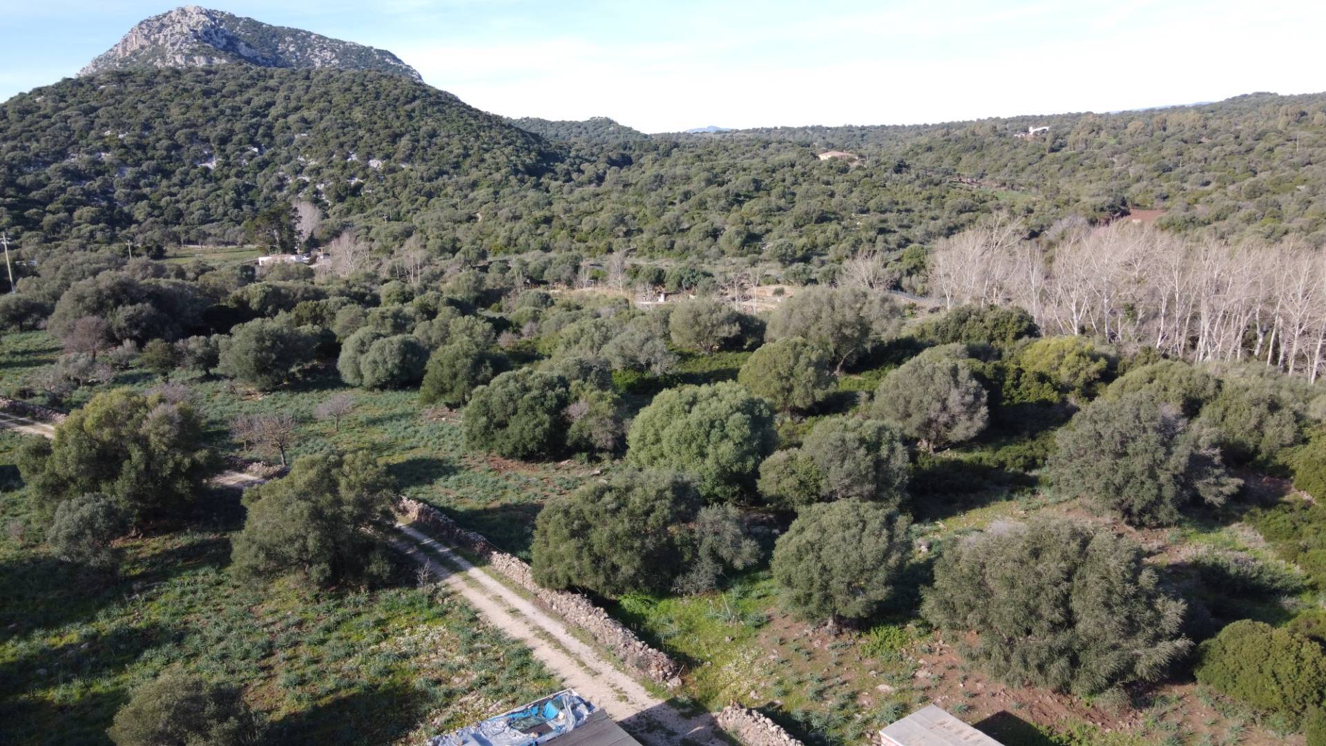 Terreno Agricolo in vendita a Dorgali