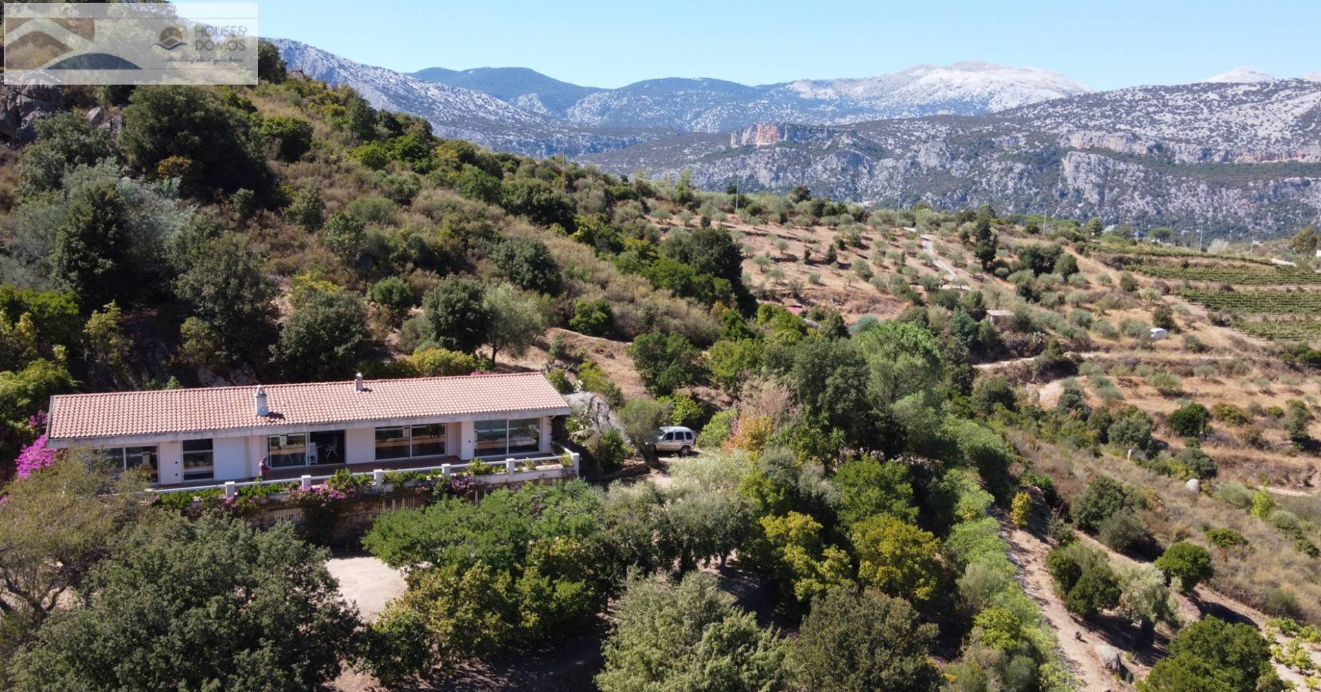 Casa singola in vendita a Dorgali