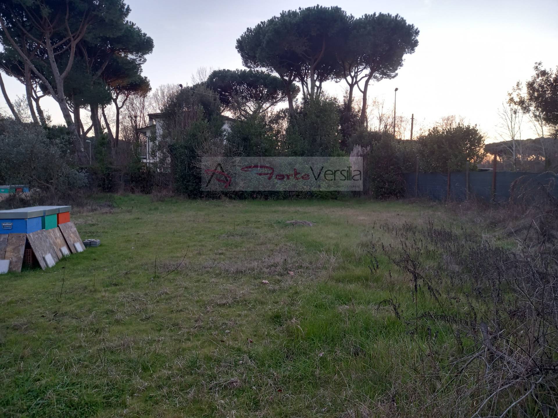 Terreno Agricolo in vendita a Montignoso, Cinquale