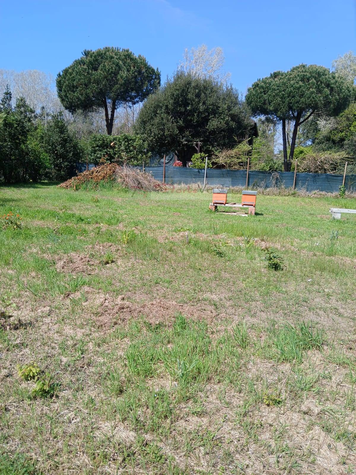immagine annuncio 5 di 6