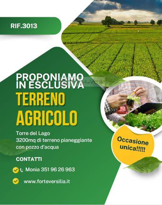 Terreno Agricolo in vendita a Viareggio, Torre del Lago Puccini