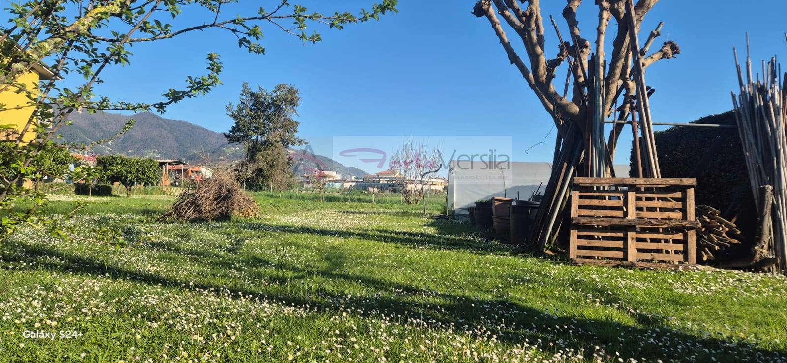 Terreno Agricolo in vendita a Forte dei Marmi