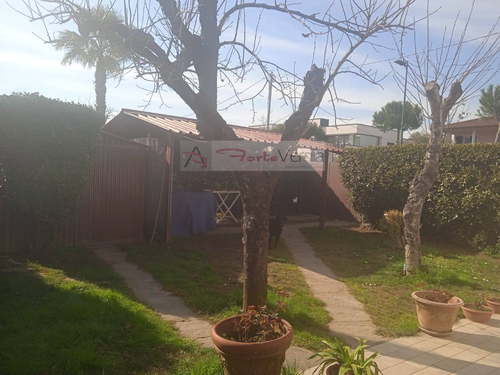 casa indipendente in affitto a Forte dei Marmi, Centro