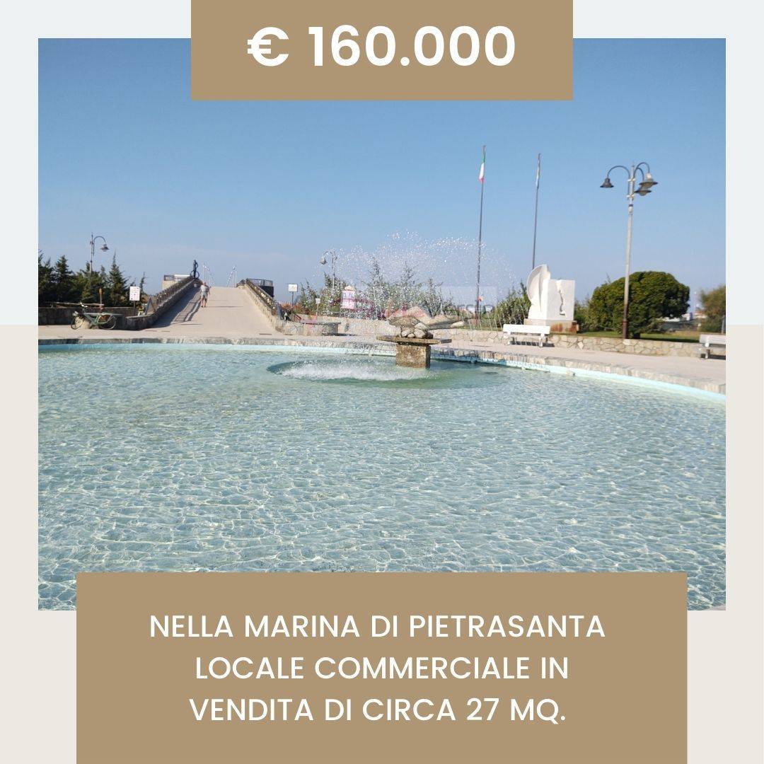 Locale commerciale in vendita a Pietrasanta, Tonfano