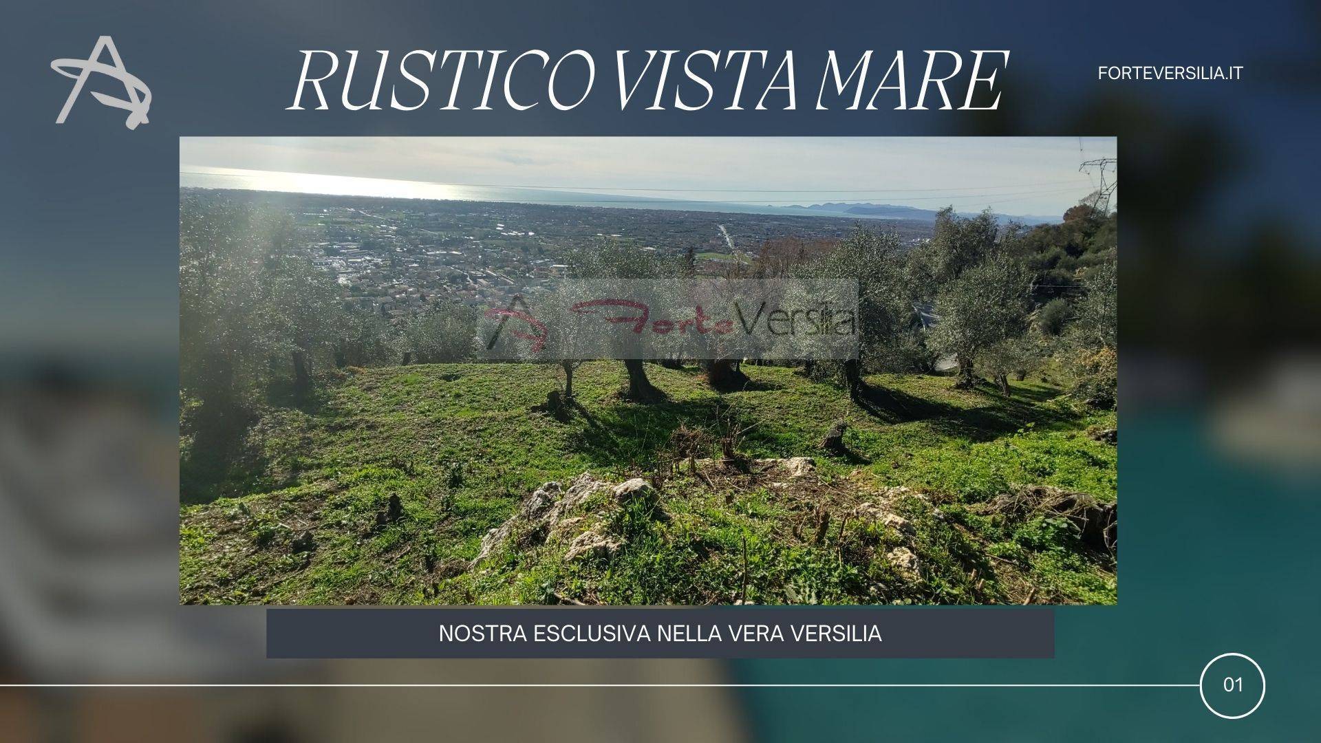 Rustico in vendita a Pietrasanta, Capriglia