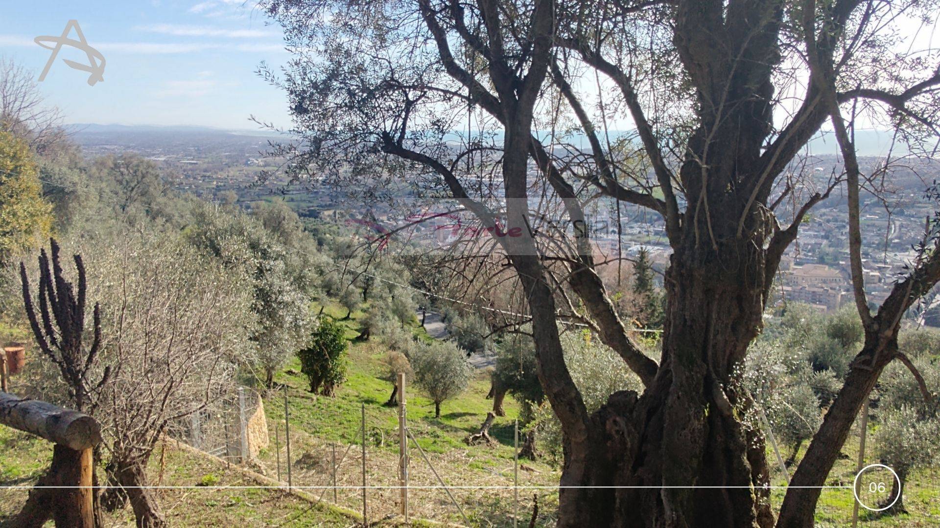 Rustico in vendita a Pietrasanta, Capriglia