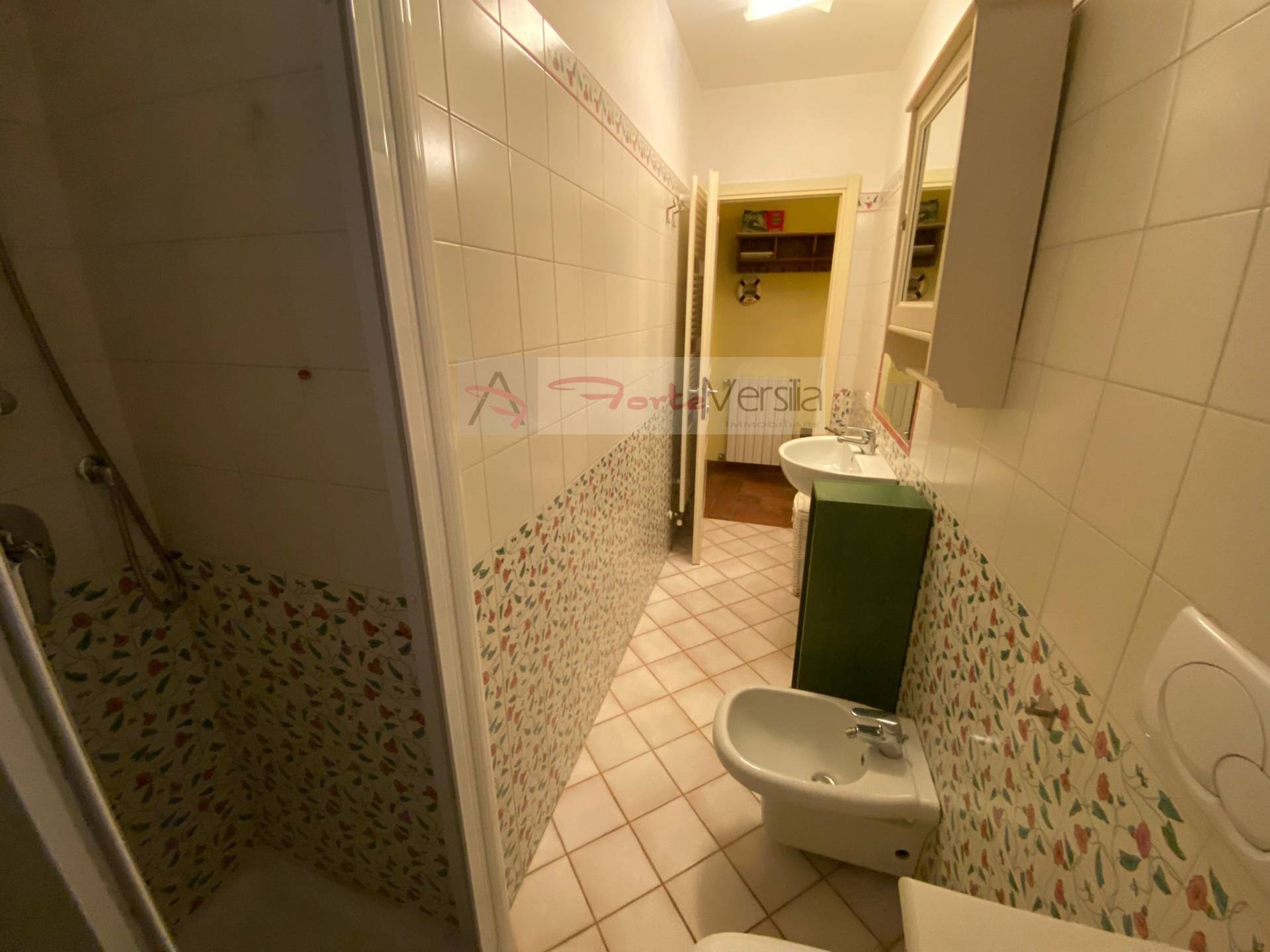 appartamento in affitto a Pietrasanta, Tonfano