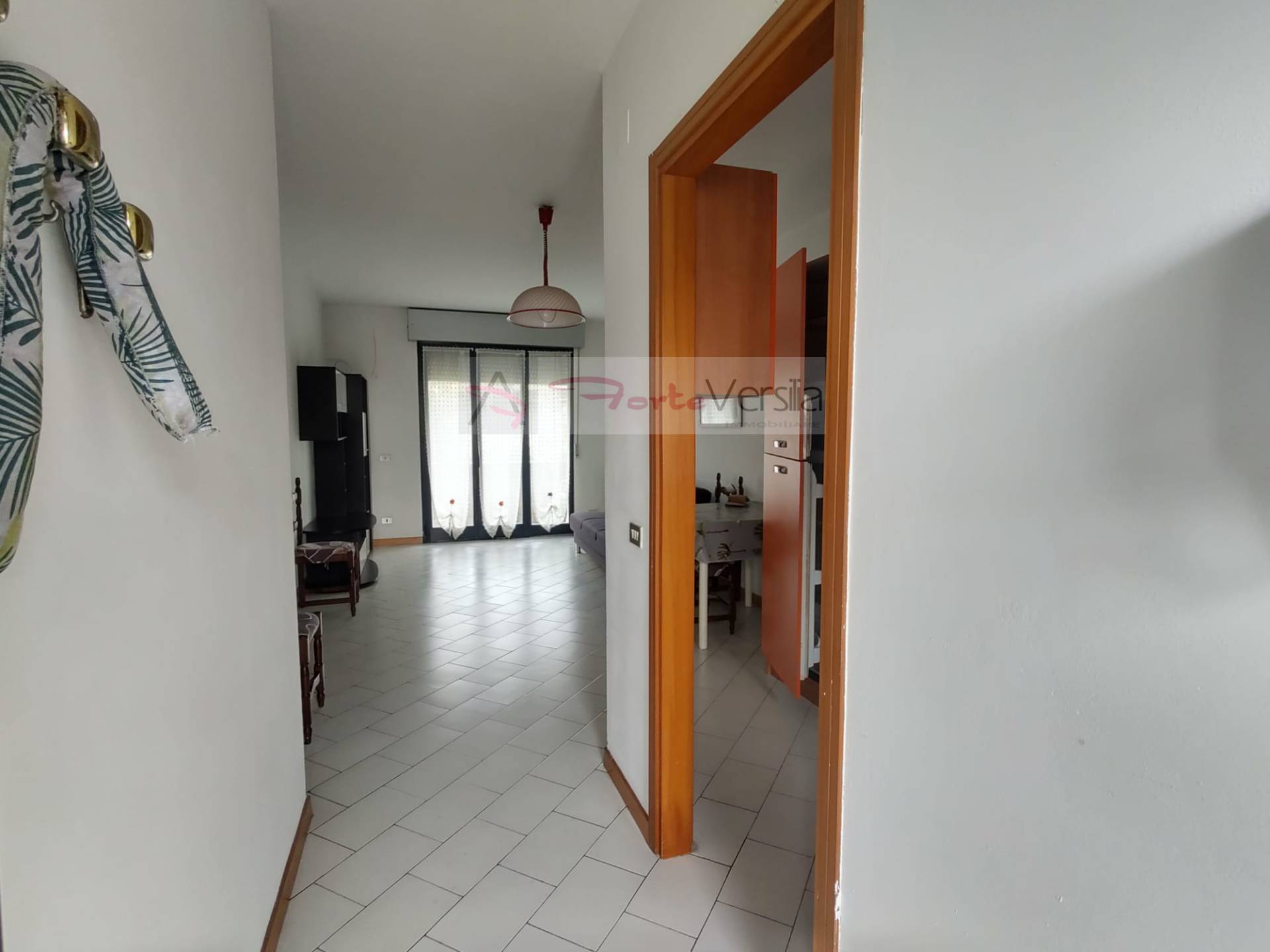 appartamento in vendita a Massa, Ronchi