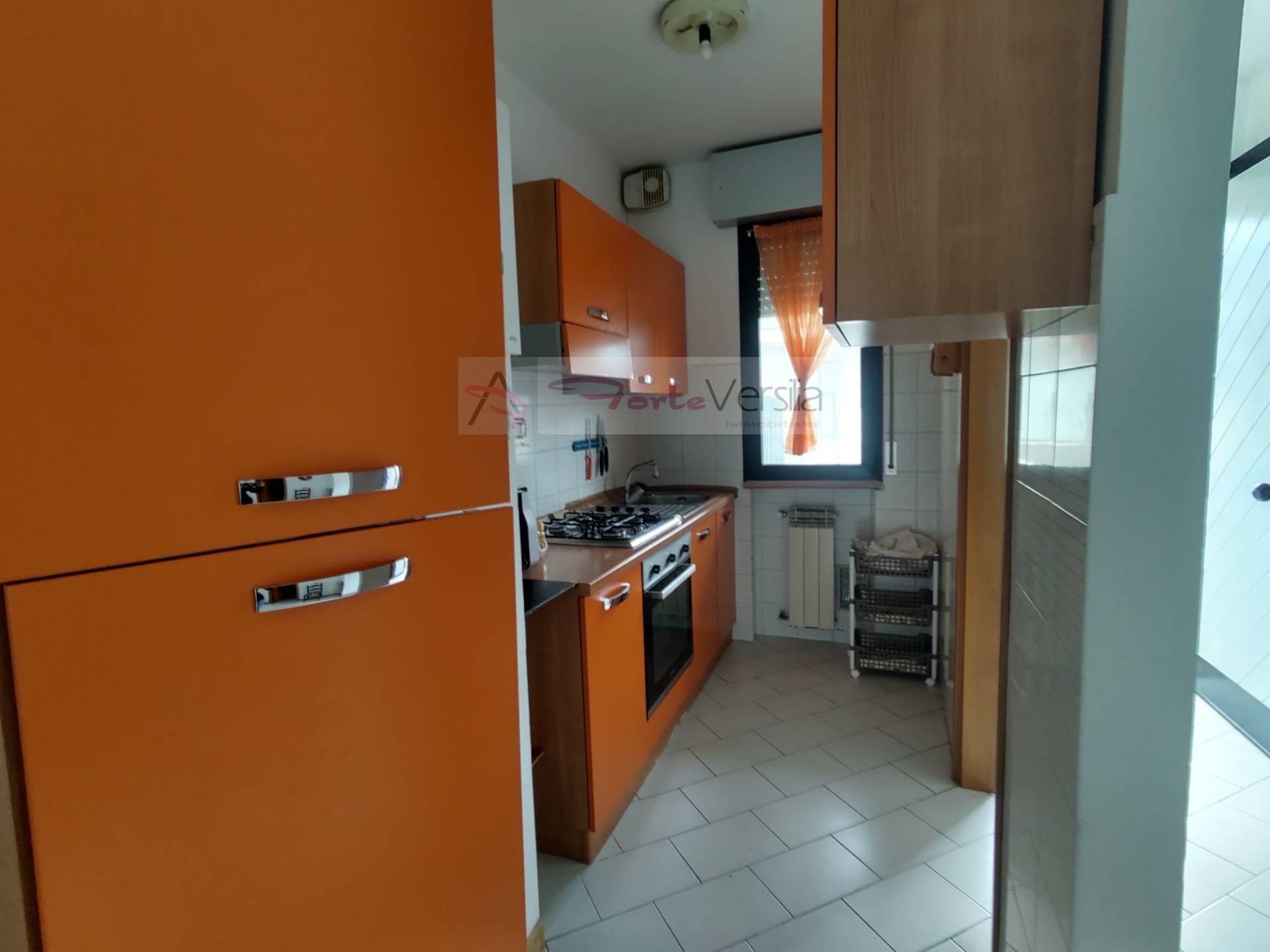 appartamento in vendita a Massa, Ronchi