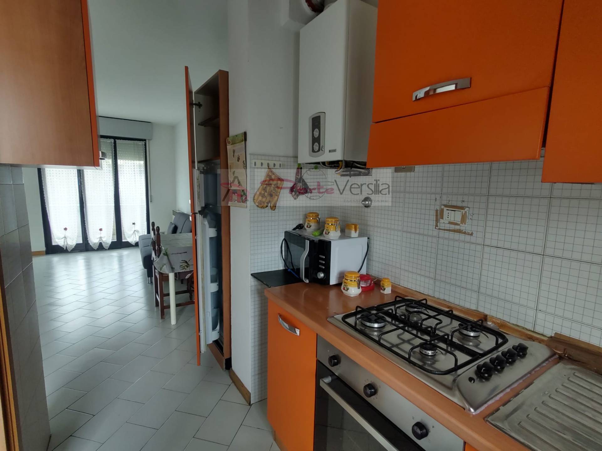 appartamento in vendita a Massa, Ronchi