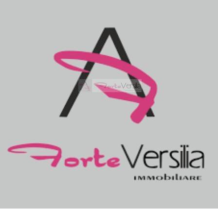 appartamento in vendita a Viareggio, Torre del Lago Puccini