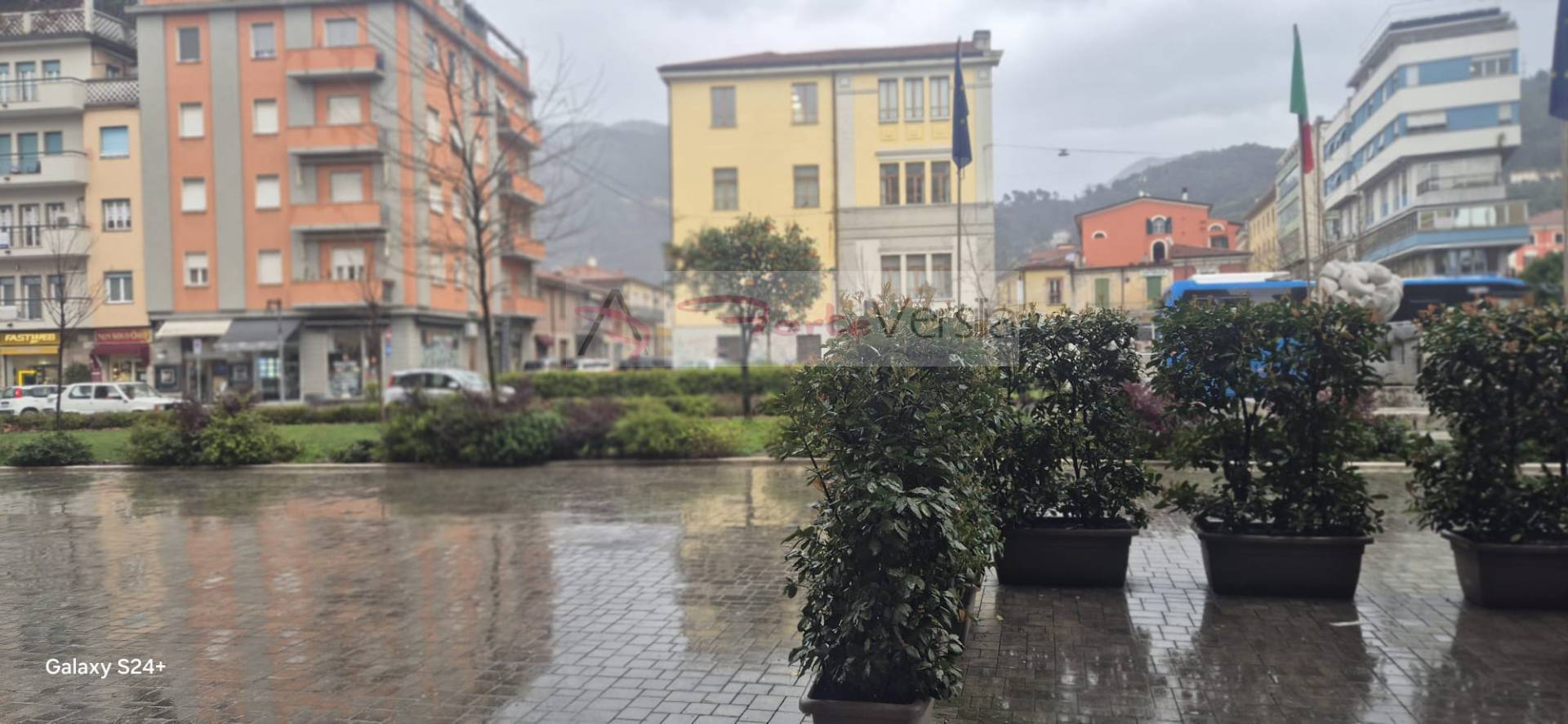 Studio/Ufficio in affitto a Massa