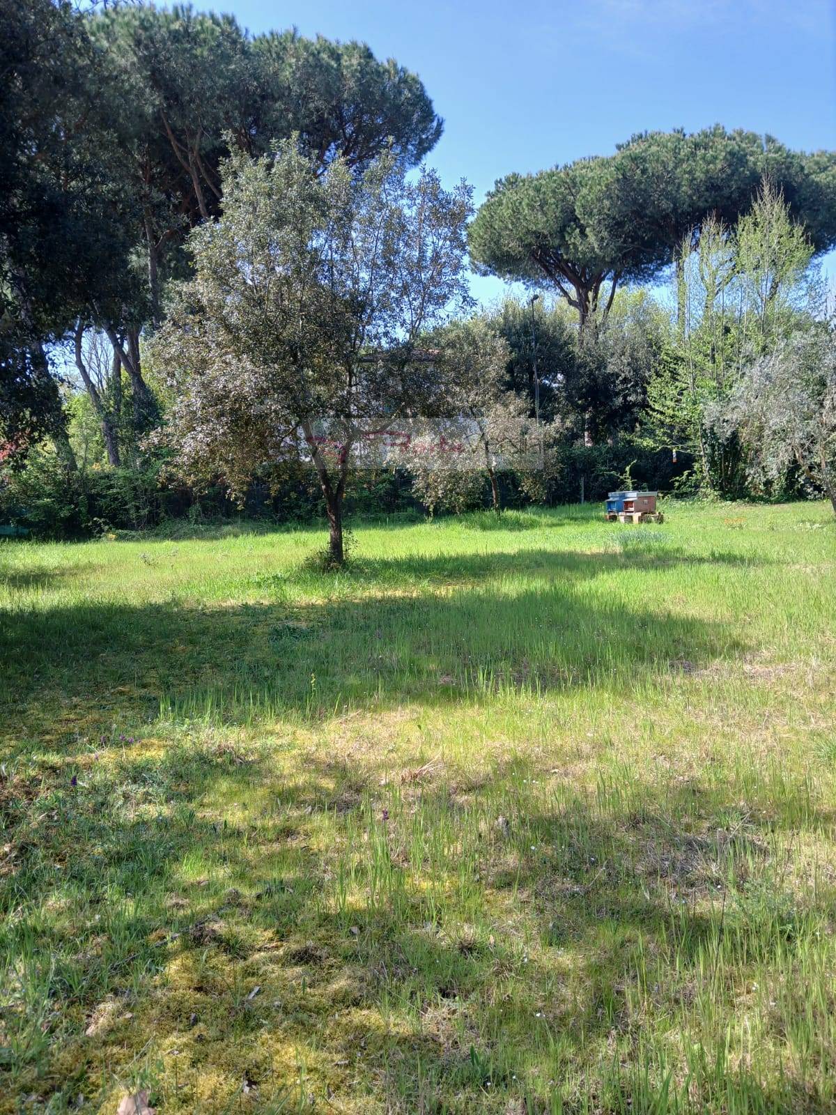 Terreno Agricolo in vendita a Montignoso, Cinquale