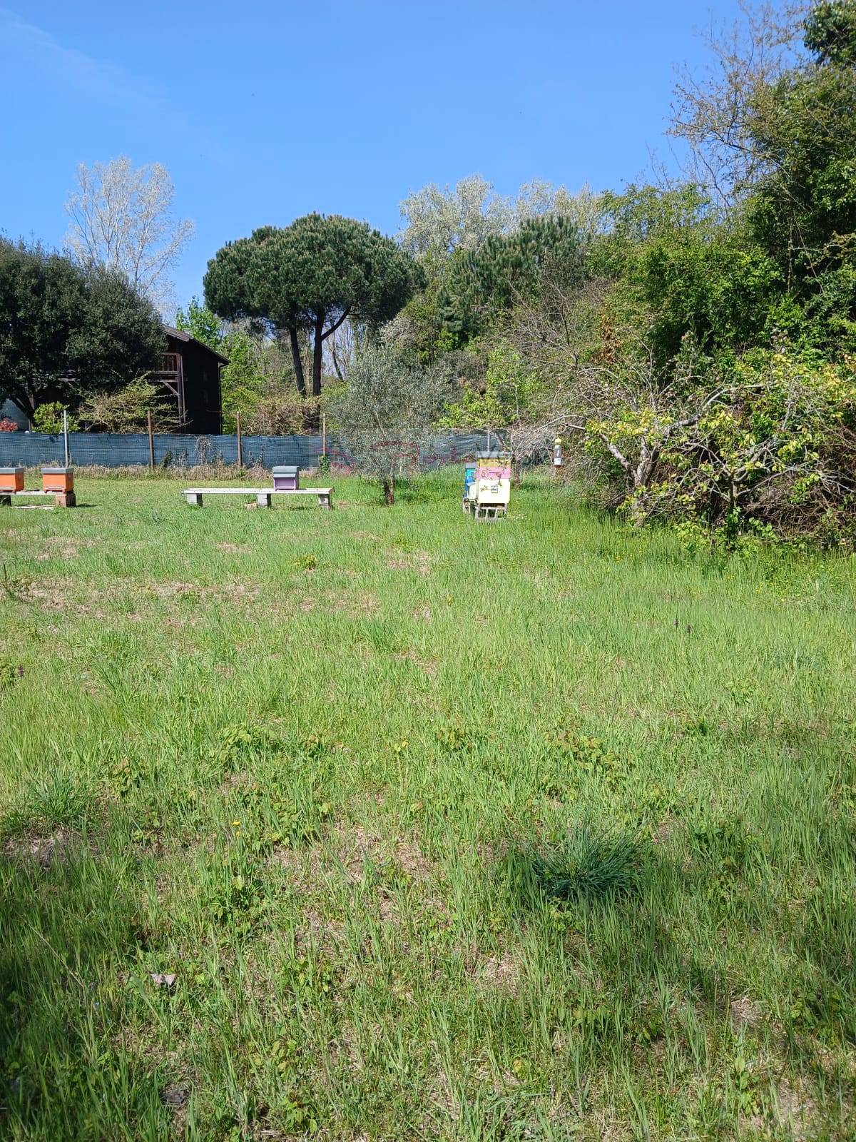 Terreno Agricolo in vendita a Montignoso, Cinquale
