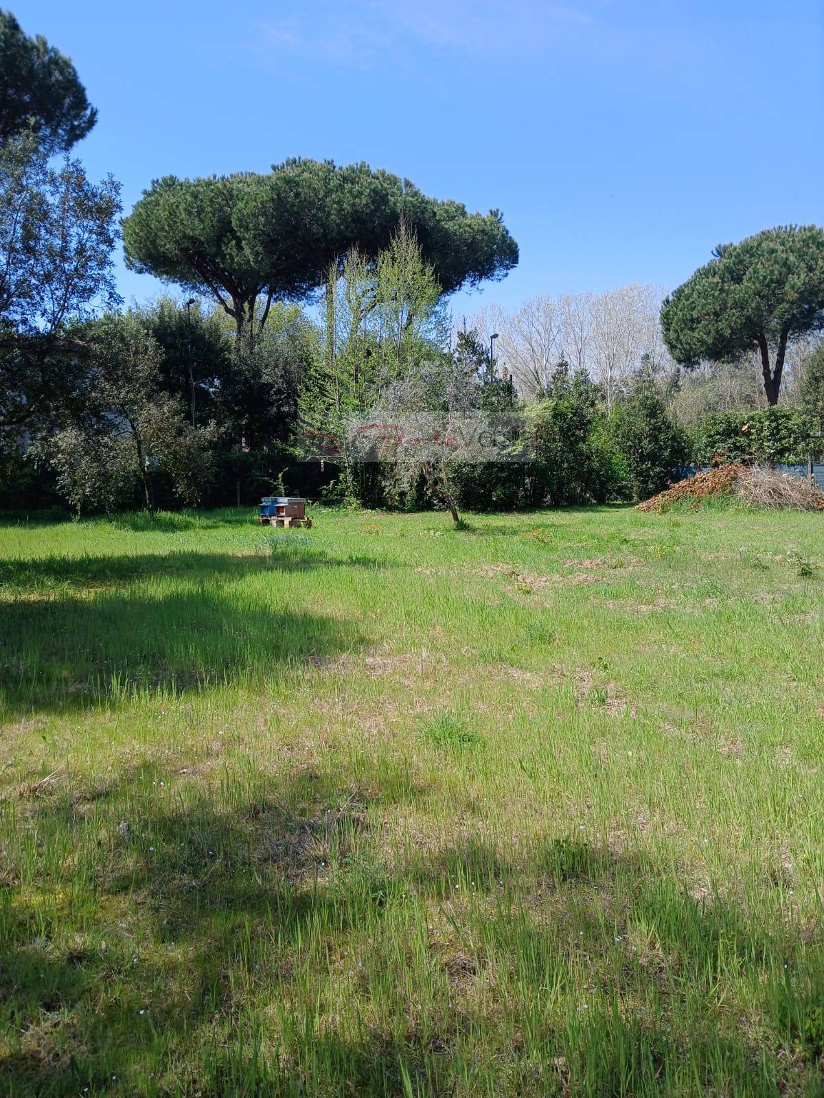Terreno Agricolo in vendita a Montignoso, Cinquale