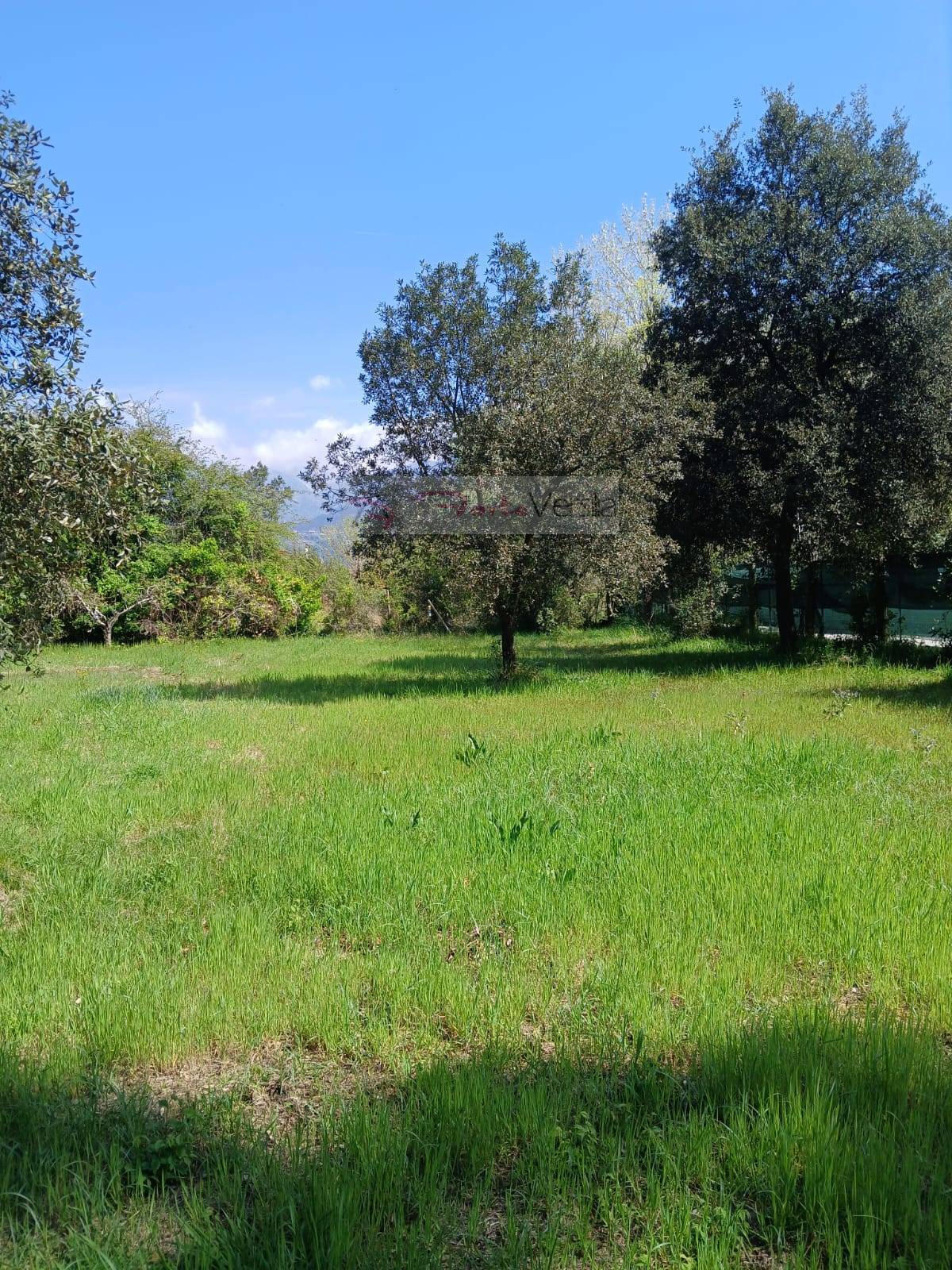 Terreno Agricolo in vendita a Montignoso, Cinquale