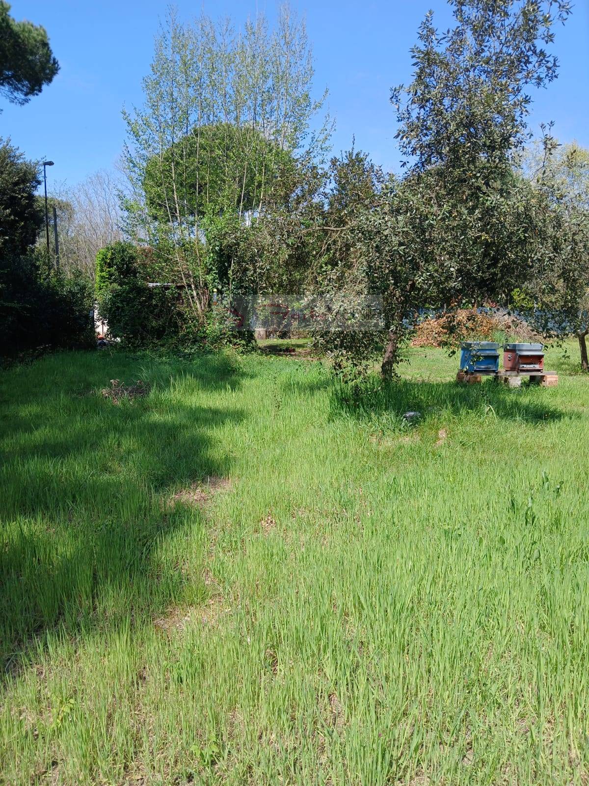 Terreno Agricolo in vendita a Montignoso, Cinquale