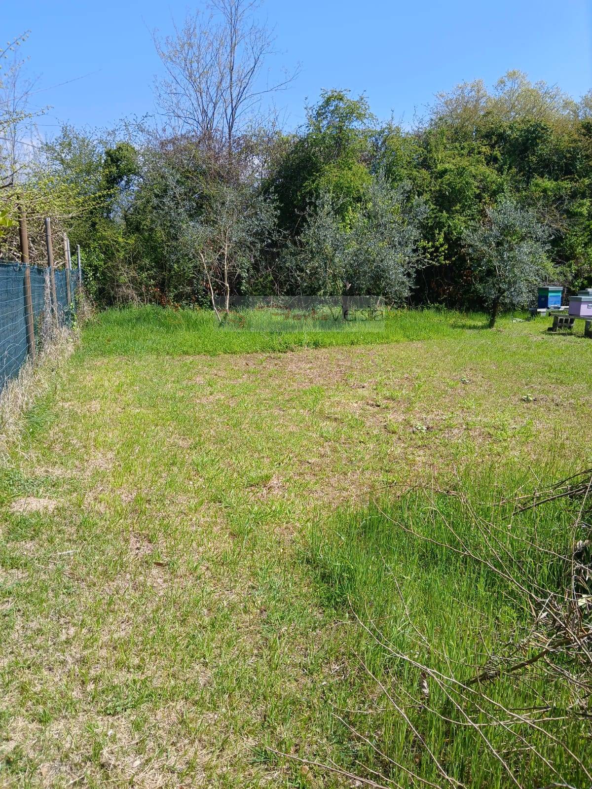 Terreno Agricolo in vendita a Montignoso, Cinquale