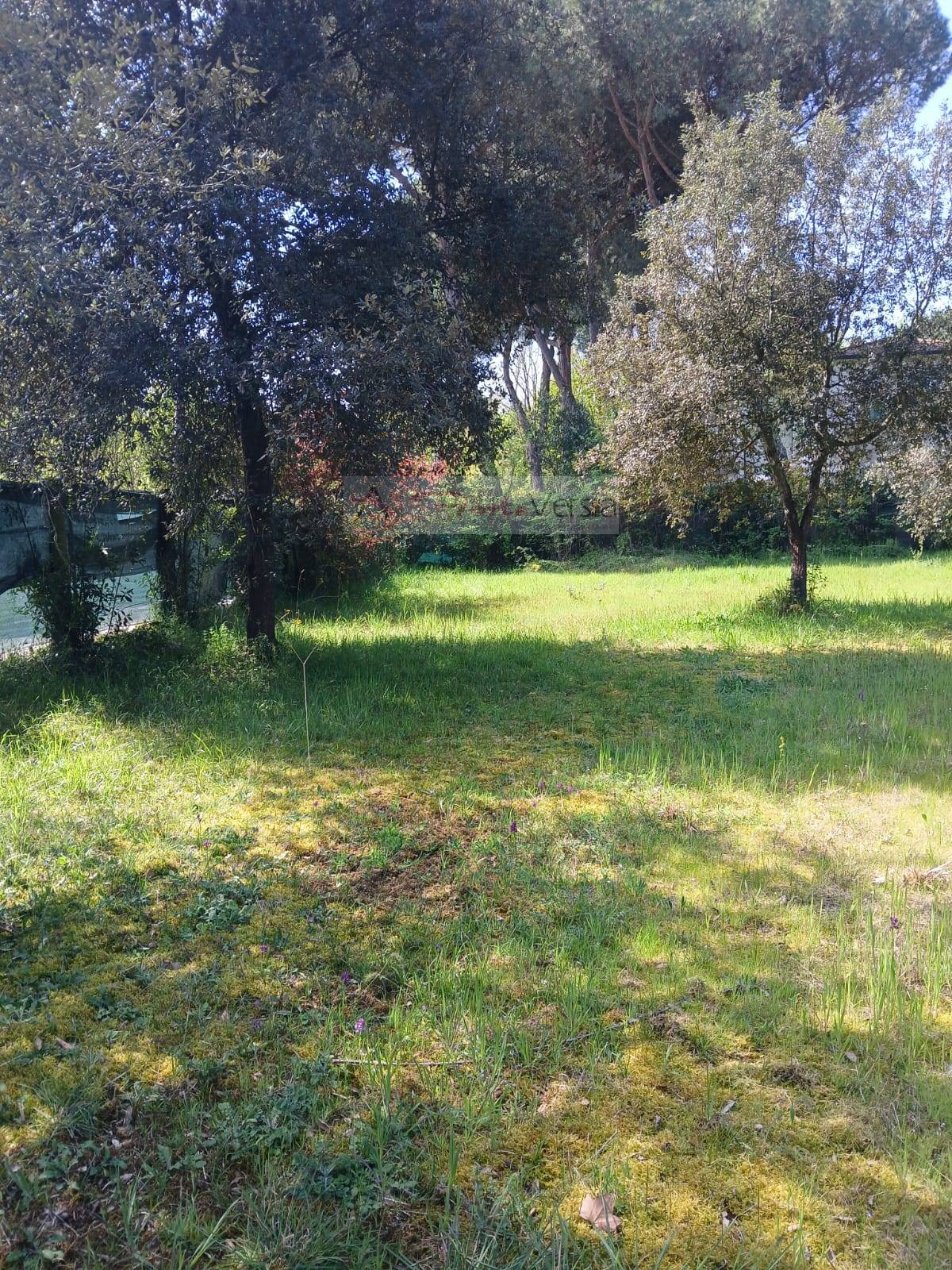 Terreno Agricolo in vendita a Montignoso, Cinquale