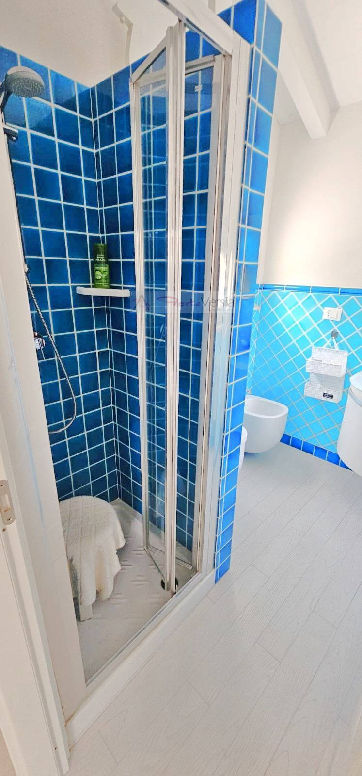 terratetto in affitto a Forte dei Marmi