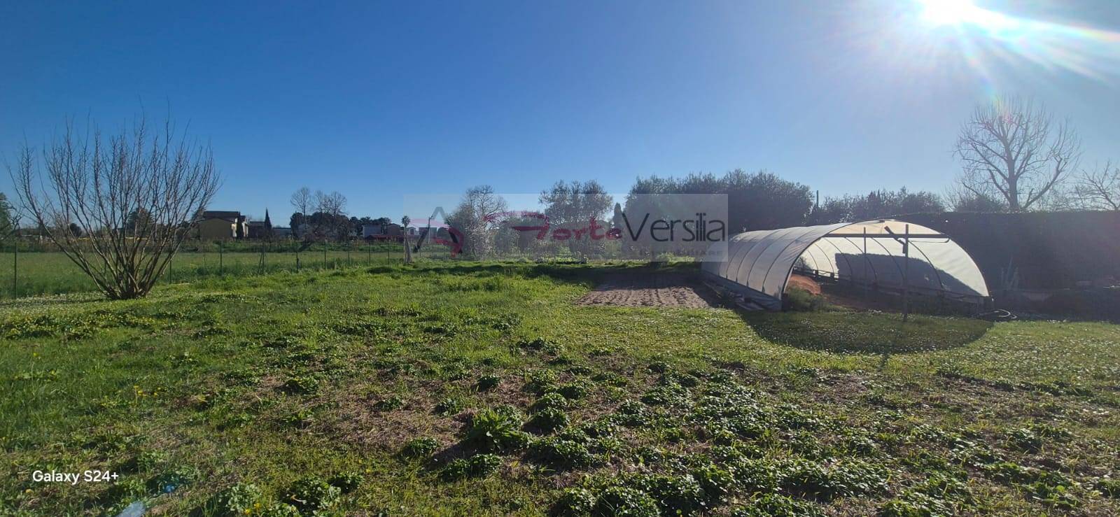 Terreno Agricolo in vendita a Forte dei Marmi