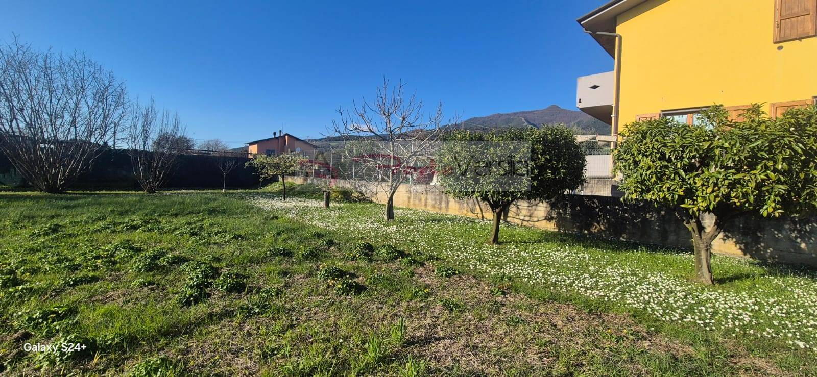 Terreno Agricolo in vendita a Forte dei Marmi