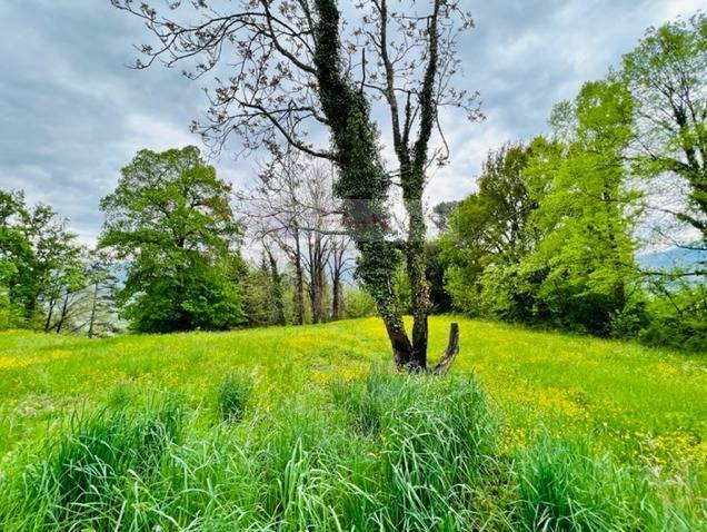Villa in vendita a Lucca