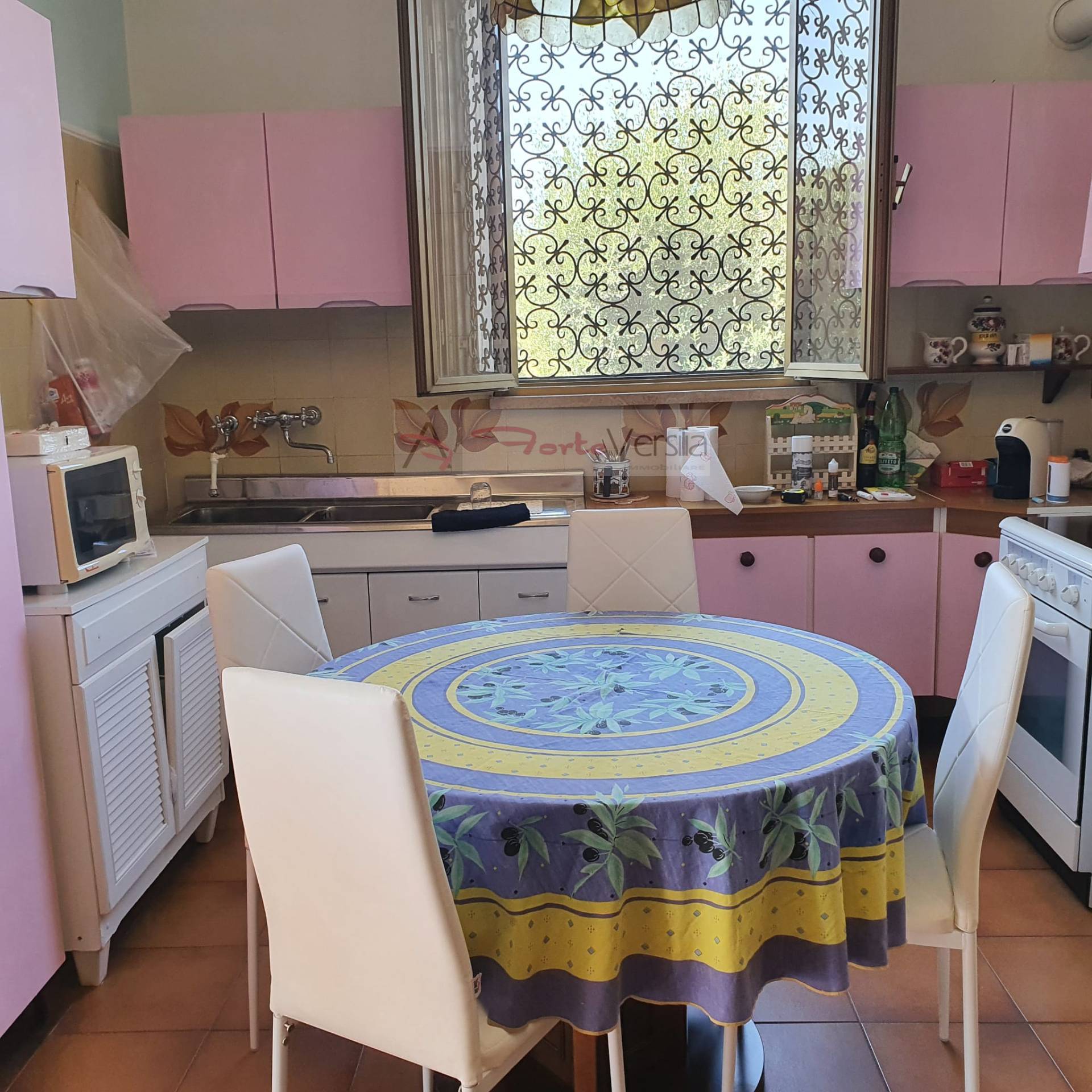 casa indipendente in affitto a Forte dei Marmi