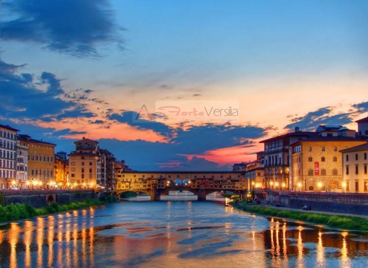 Locale commerciale in vendita a Firenze