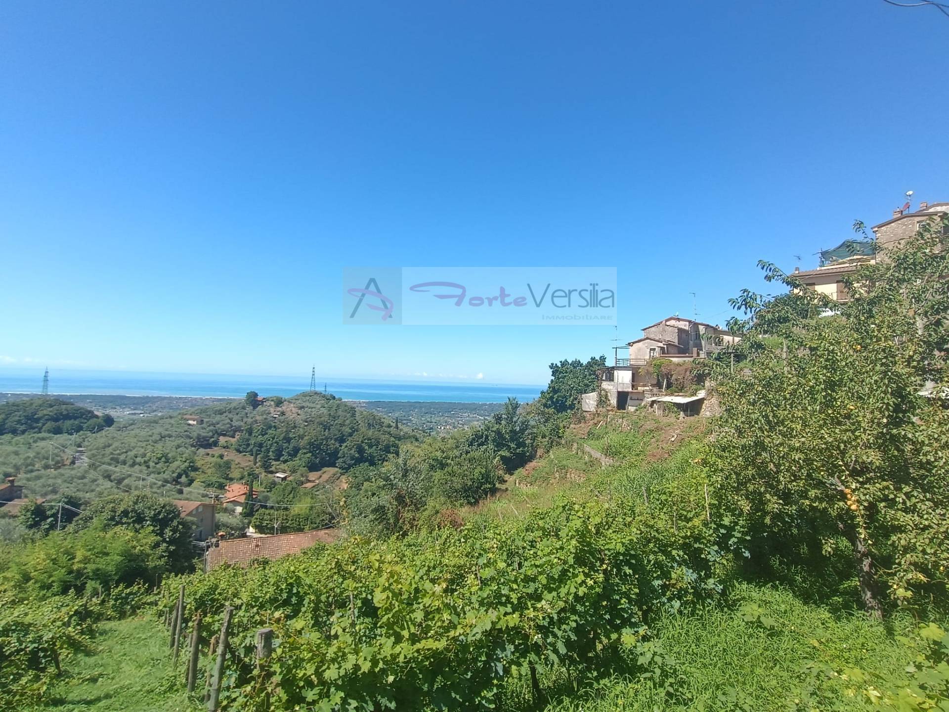 Villa semindipendente in vendita a Pietrasanta, Capezzano Monte