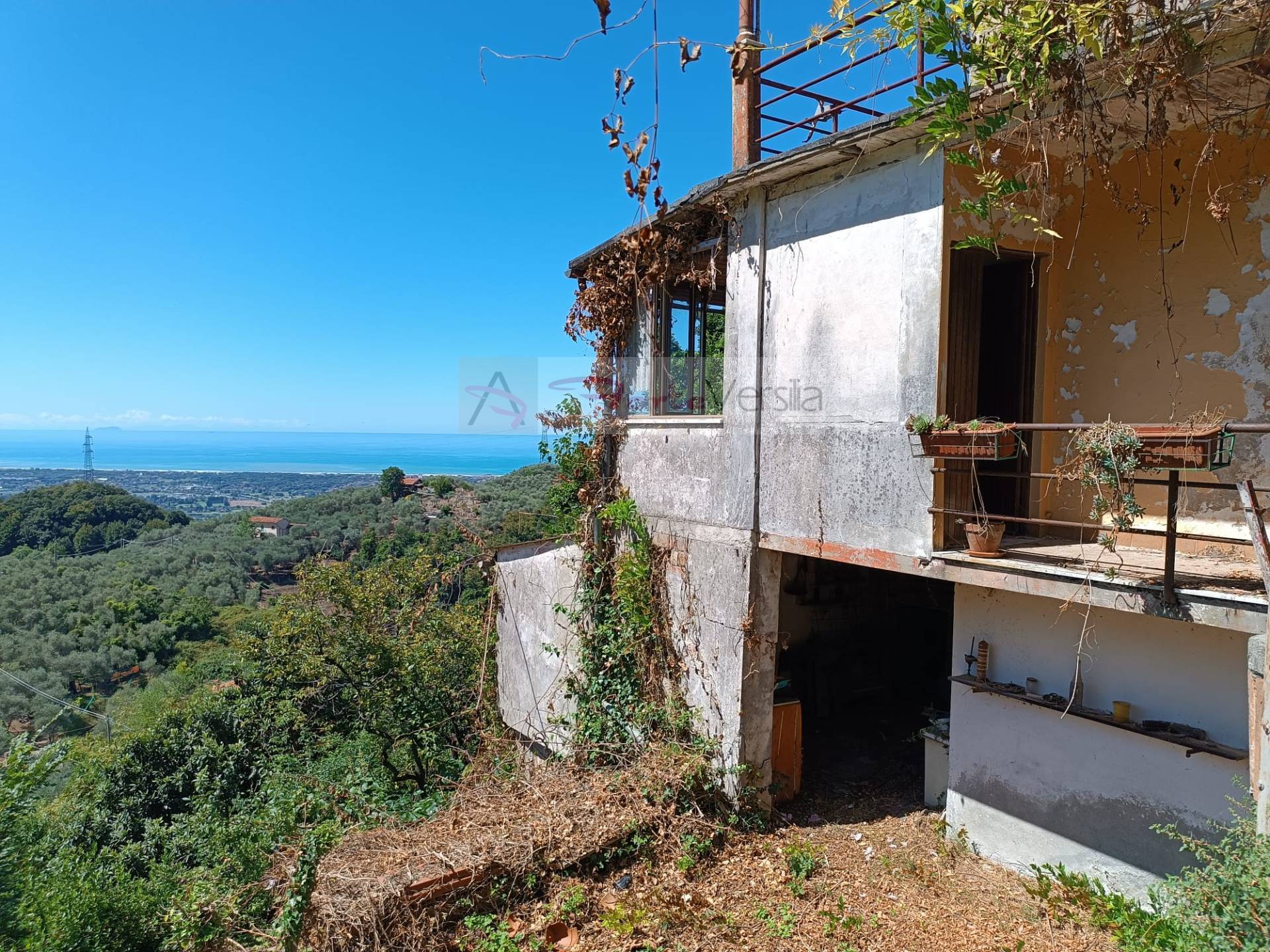 Villa semindipendente in vendita a Pietrasanta, Capezzano Monte