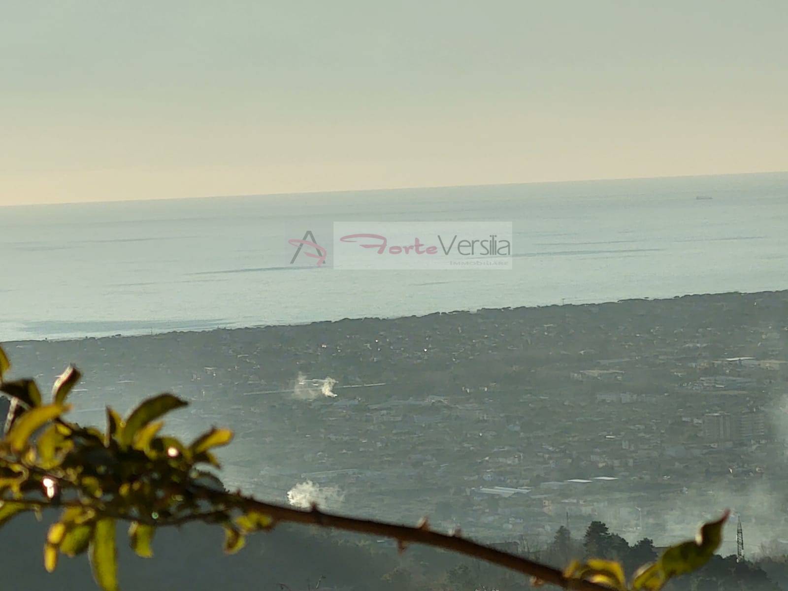 terratetto in vendita a Pietrasanta