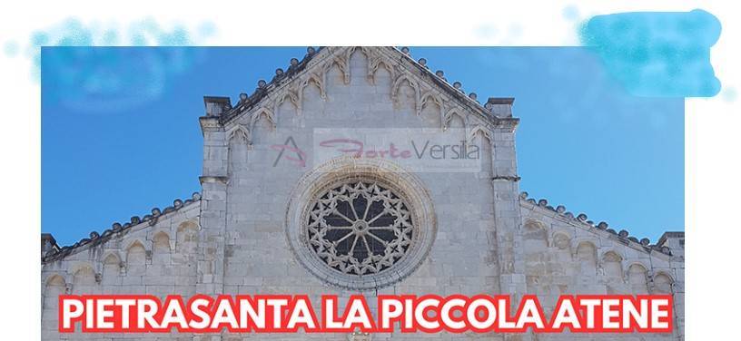 Capannone in vendita a Pietrasanta