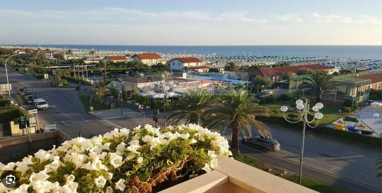 Capannone in vendita a Pietrasanta