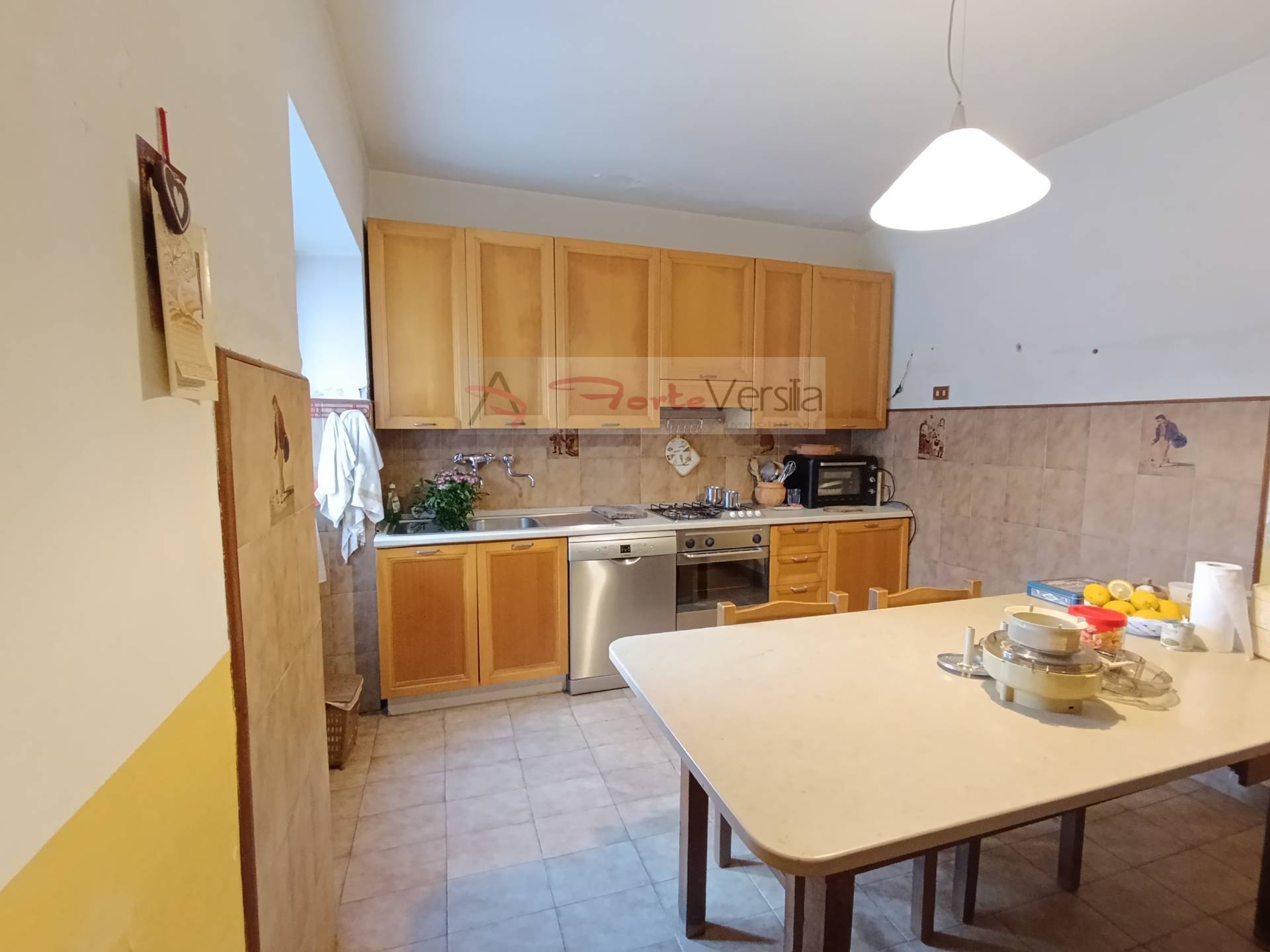 villa bifamiliare in vendita a Pietrasanta, Crociale