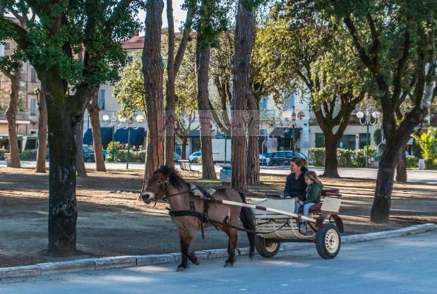 villa indipendente in vendita a Forte dei Marmi, Centro