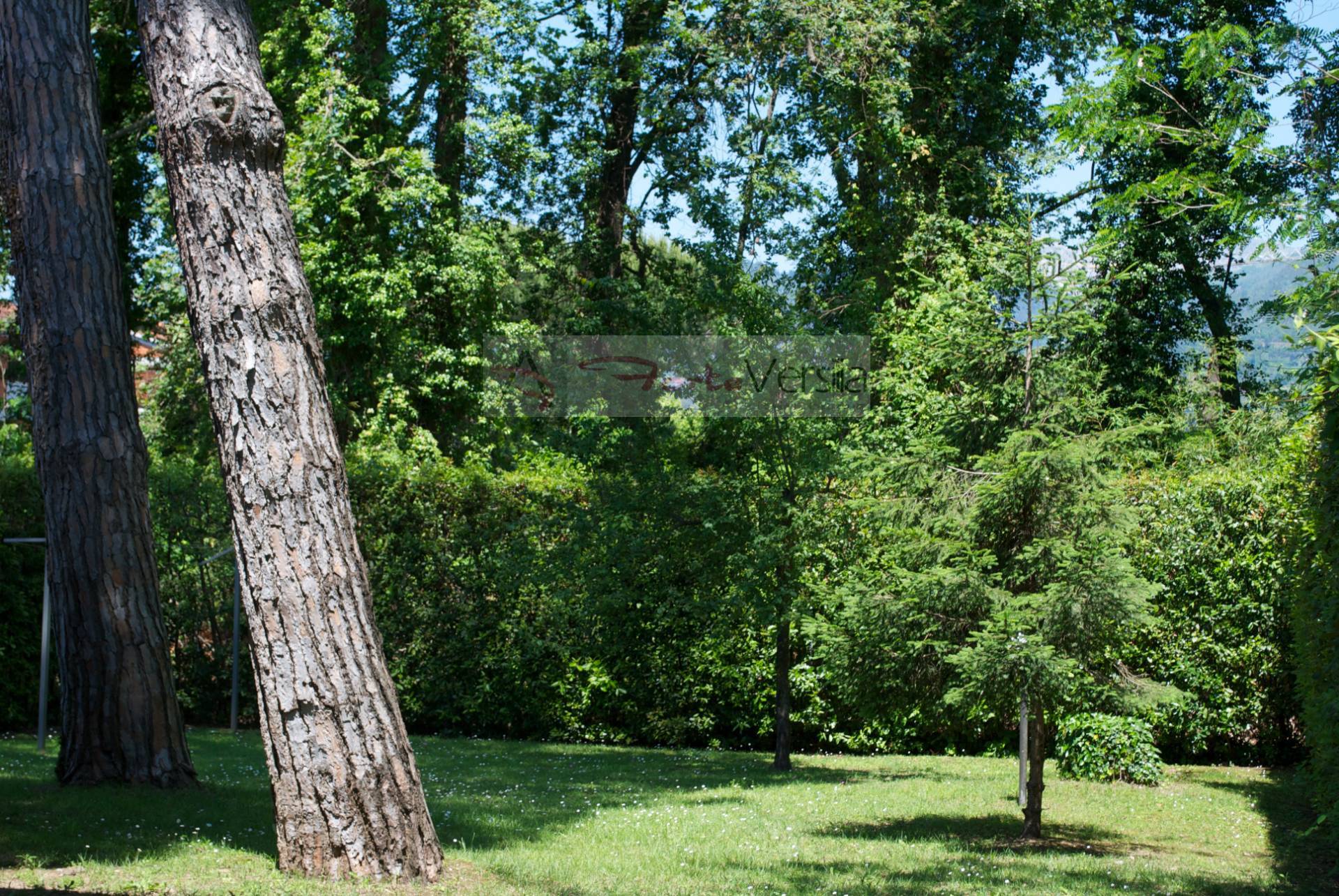 Villa in vendita a Montignoso, Cinquale