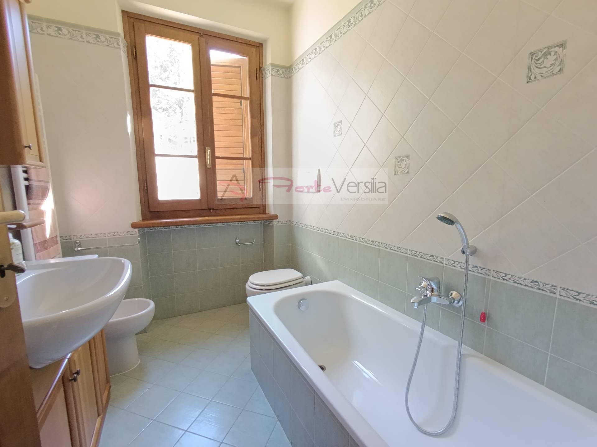 villa indipendente in vendita a Pietrasanta, Vallecchia