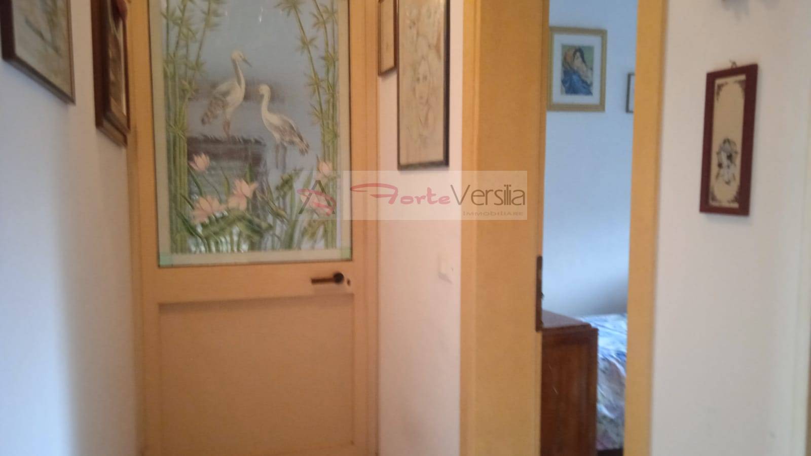 Villa in vendita a Pietrasanta, Pontestrada