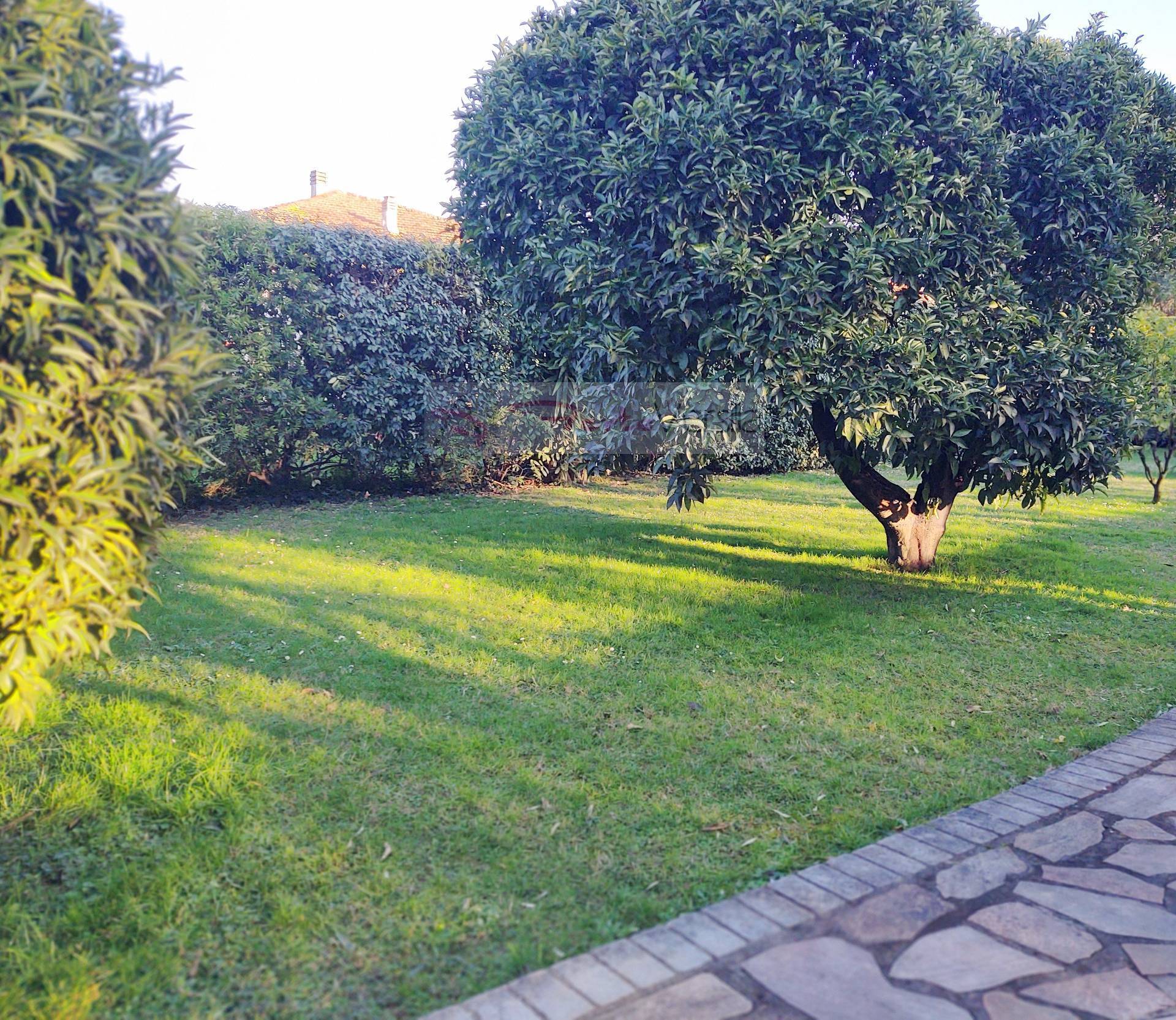 villa indipendente in vendita a Seravezza, Querceta