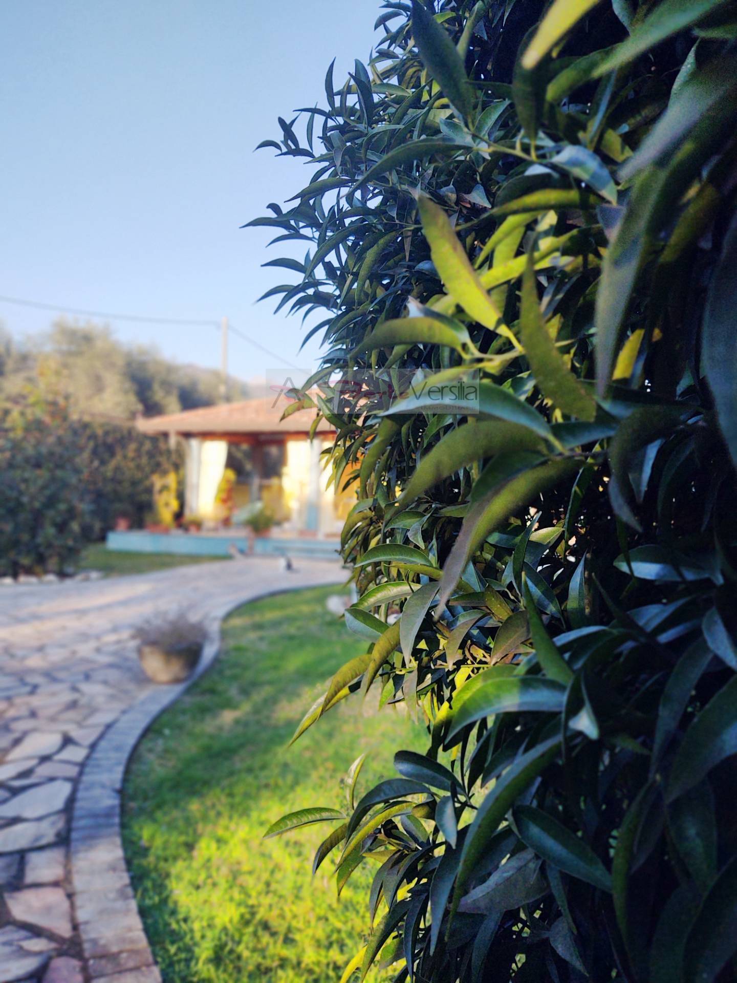 villa indipendente in vendita a Seravezza, Querceta