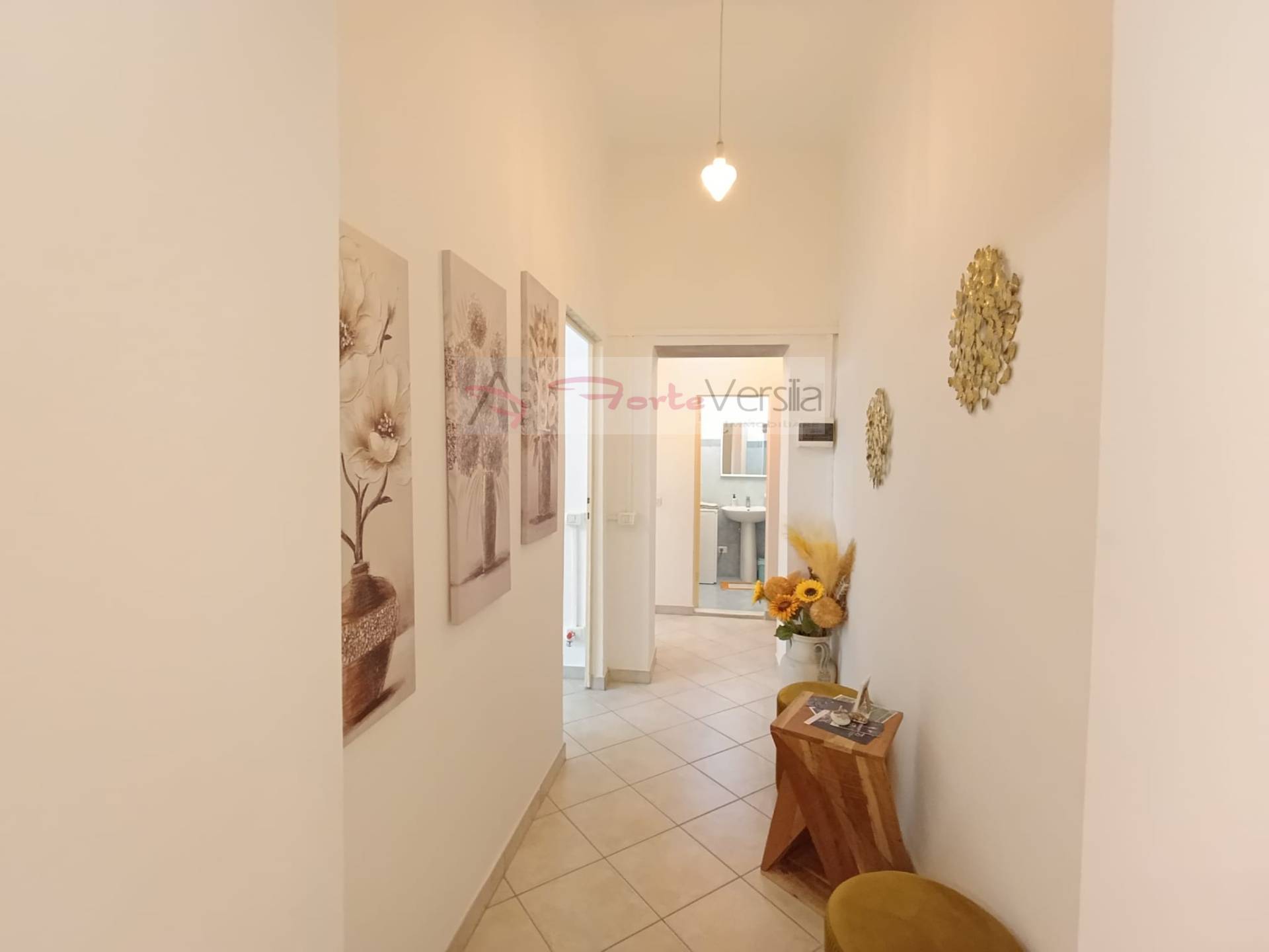 appartamento in vendita a Pietrasanta, Centro Storico