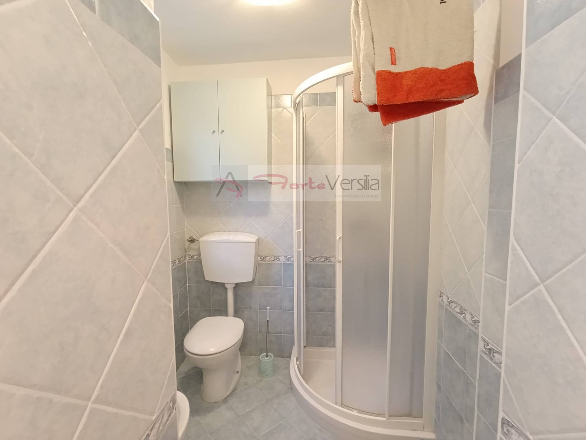 appartamento in vendita a Pietrasanta, Centro Storico
