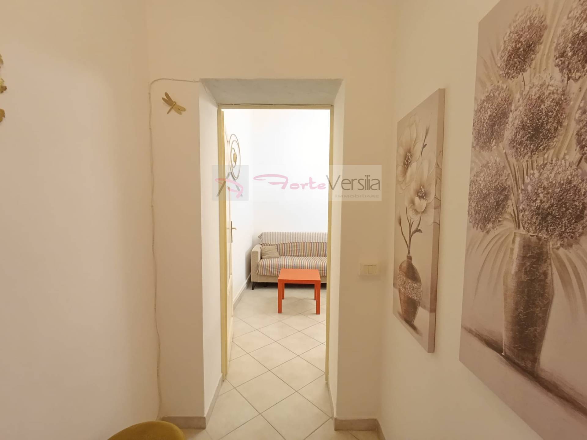 appartamento in vendita a Pietrasanta, Centro Storico