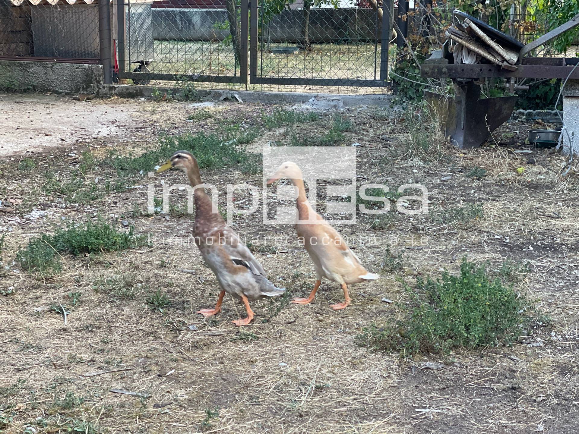 Casa indipendente in vendita a Ponzano Veneto, Paderno