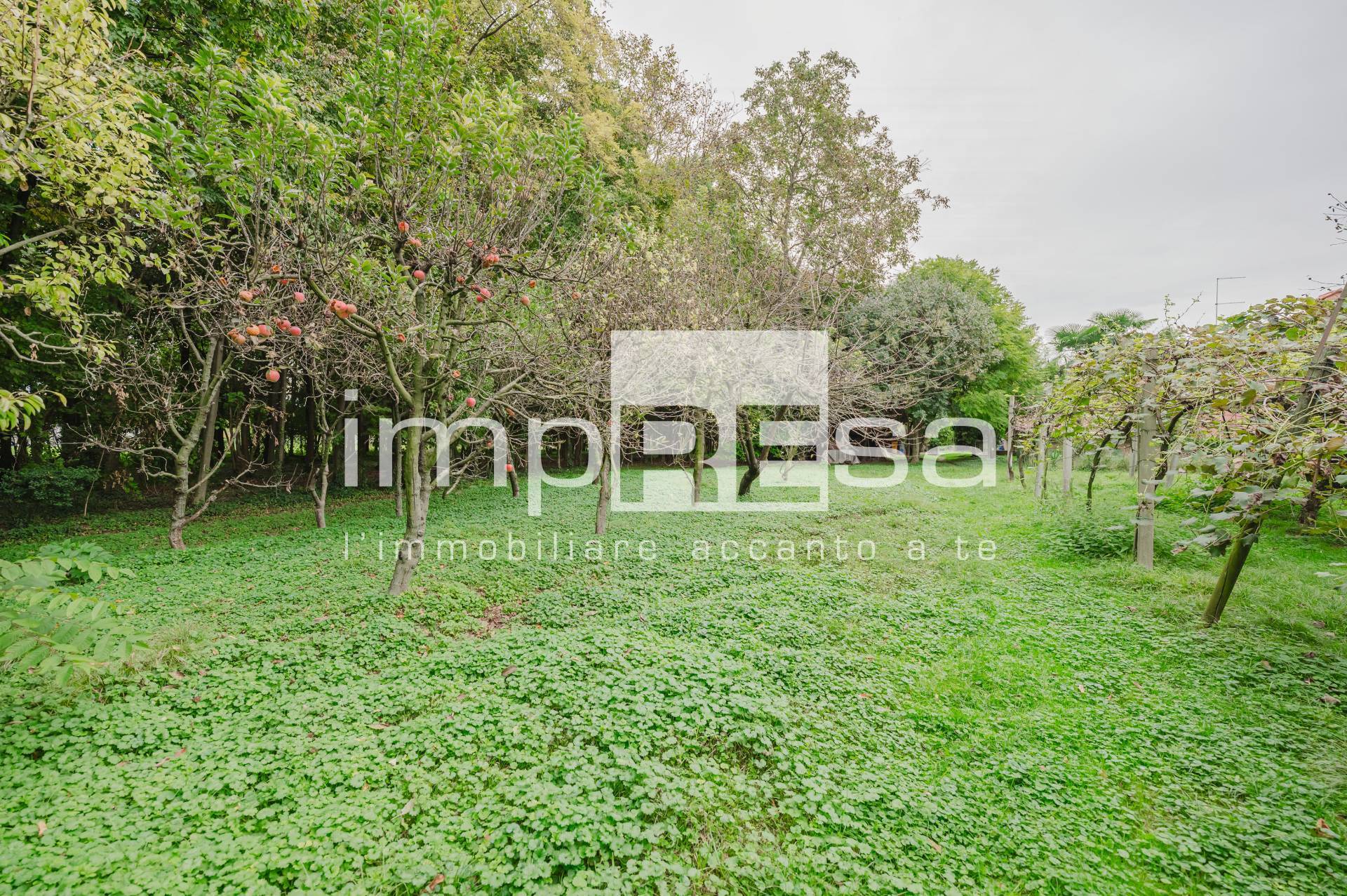 Casa indipendente in vendita a Carbonera, Vascon
